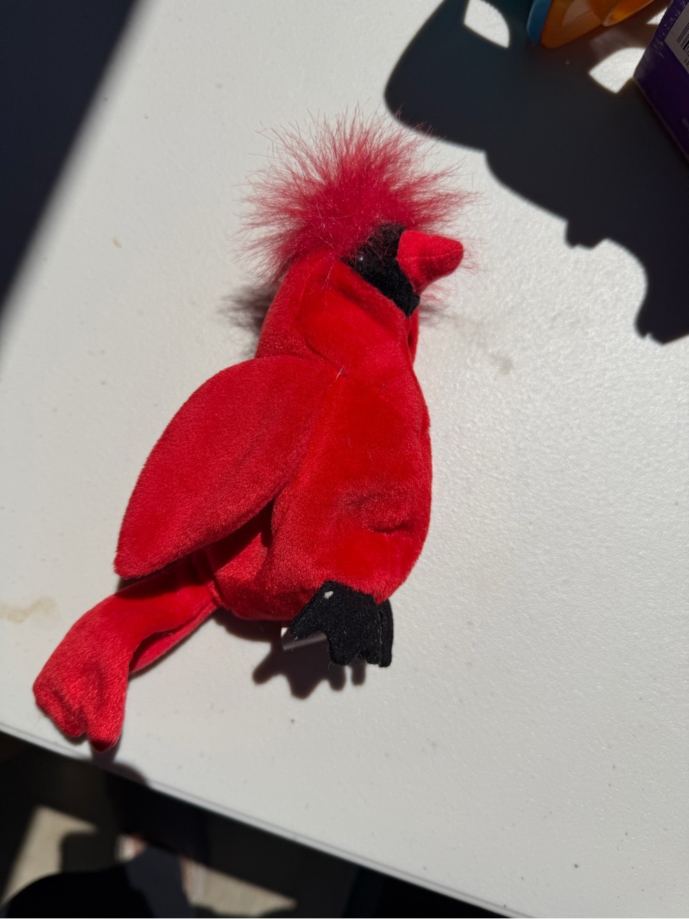 TY Cardinal Beanie Baby - no tag